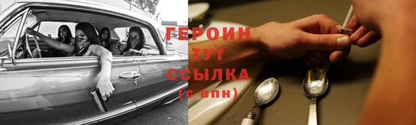 индика Заводоуковск