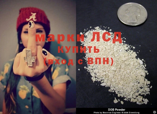 ГАЛЛЮЦИНОГЕННЫЕ ГРИБЫ Алзамай