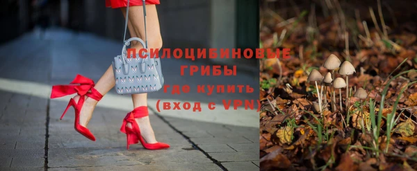 ГАЛЛЮЦИНОГЕННЫЕ ГРИБЫ Алзамай