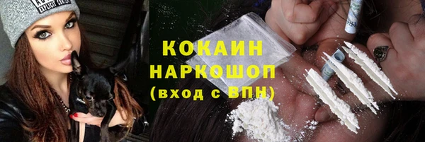 сатива Абаза
